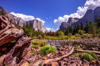 El Capitan 'ın dünyaca ünlü kaya tırmanışı duvarı, Yosemite Ulusal Parkı, Kaliforniya, ABD