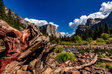 El Capitan 'ın dünyaca ünlü kaya tırmanışı duvarı, Yosemite Ulusal Parkı, Kaliforniya, ABD