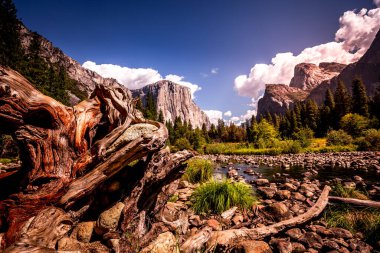 El Capitan 'ın dünyaca ünlü kaya tırmanışı duvarı, Yosemite Ulusal Parkı, Kaliforniya, ABD