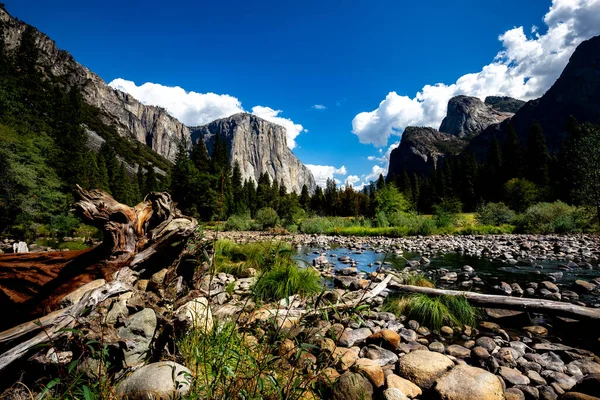 stock image World famous rock climbing wall of El Capitan, Yosemite national park, California, usa