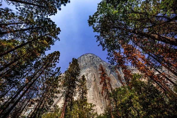 Światowej Sławy Ściana Wspinaczkowa Capitan Park Narodowy Yosemite Kalifornia Usa — Zdjęcie stockowe