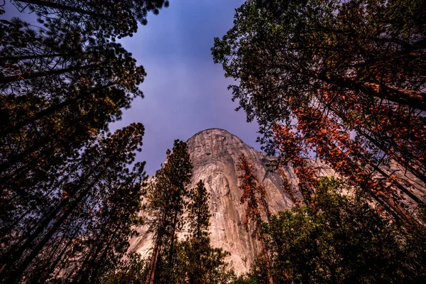 Всесвітня Знаменита Скеляста Стіна Ель Капітана Національний Парк Йосеміті Каліфорнія — стокове фото