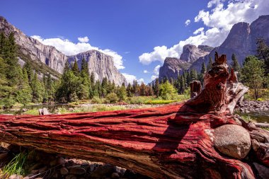 El Capitan 'ın dünyaca ünlü kaya tırmanışı duvarı, Yosemite Ulusal Parkı, Kaliforniya, ABD