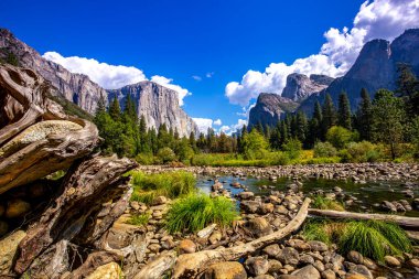 El Capitan 'ın dünyaca ünlü kaya tırmanışı duvarı, Yosemite Ulusal Parkı, Kaliforniya, ABD
