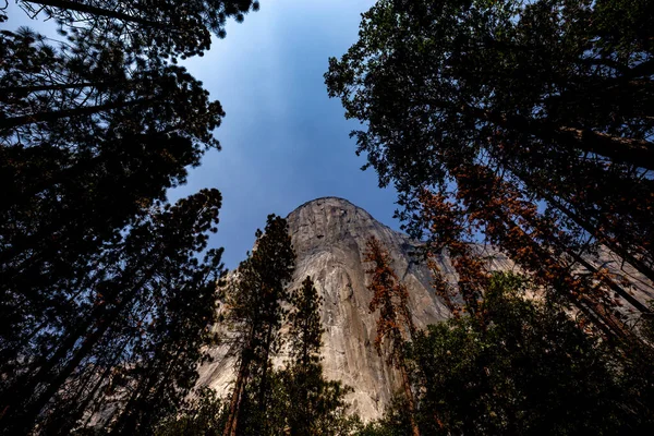 Światowej Sławy Ściana Wspinaczkowa Capitan Park Narodowy Yosemite Kalifornia Usa — Zdjęcie stockowe