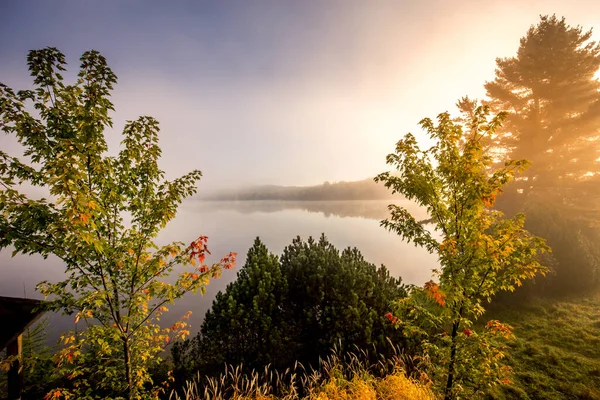 Över Båtbrygga Lac Superieur Dimmig Morgon Med Dimma Laurentides Mont — Stockfoto