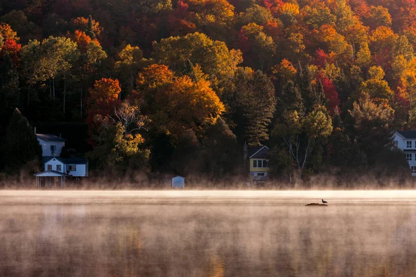 Över Båtbrygga Lac Superieur Dimmig Morgon Med Dimma Laurentides Mont — Stockfoto