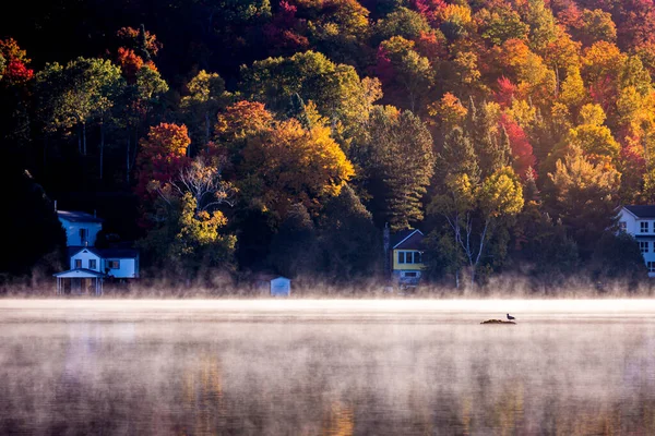 Över Båtbrygga Lac Superieur Dimmig Morgon Med Dimma Laurentides Mont — Stockfoto