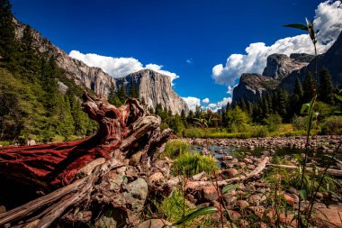 Yosemite Vadisi, Yosemite Ulusal Parkı, Kaliforniya, ABD