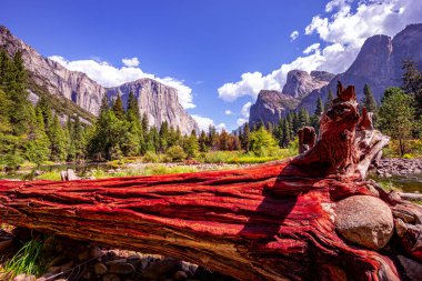 Yosemite Vadisi, Yosemite Ulusal Parkı, Kaliforniya, ABD