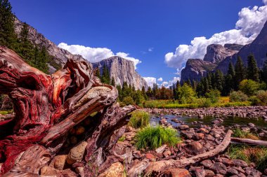 Yosemite Vadisi, Yosemite Ulusal Parkı, Kaliforniya, ABD