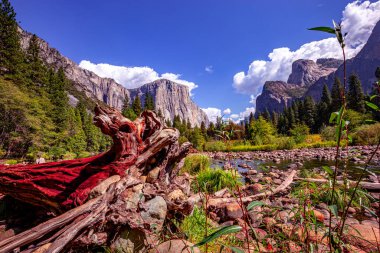 Yosemite Vadisi, Yosemite Ulusal Parkı, Kaliforniya, ABD