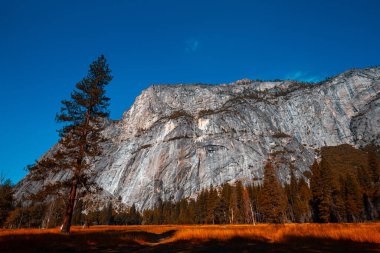 Yosemite Vadisi, Yosemite Ulusal Parkı, Kaliforniya, ABD