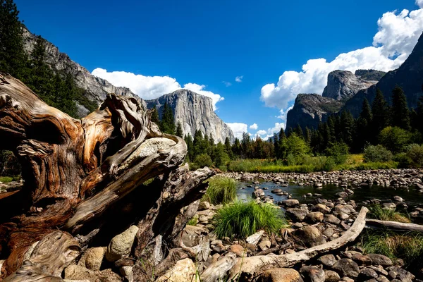 Yosemitské Údolí Yosemitský Národní Park Kalifornie Usa — Stock fotografie