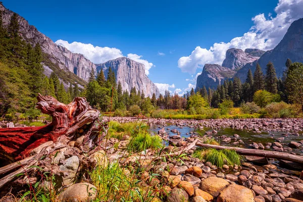 Valle Yosemite Parque Nacional Yosemite California — Foto de Stock