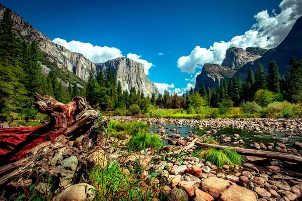 Yosemite Valley Yosemite National Park Californië Verenigde Staten — Stockfoto