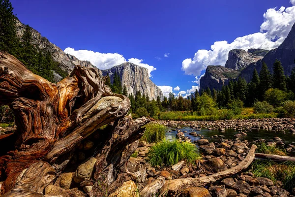 Yosemite Valley Parco Nazionale Dello Yosemite California Stati Uniti — Foto Stock