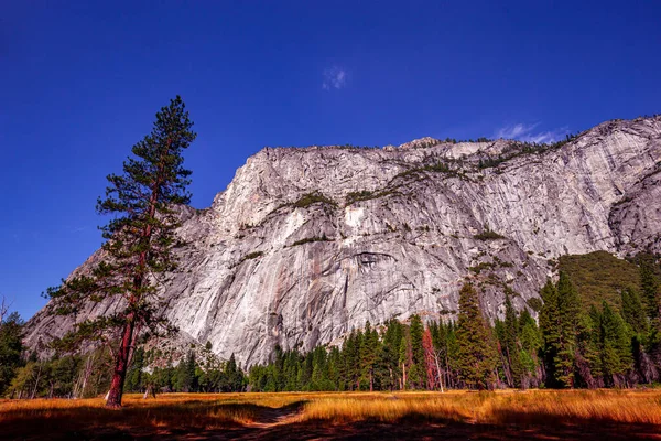 Yosemite Valley Yosemite National Park California Usa — Stock Photo, Image