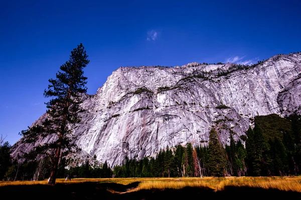 Dolina Yosemite Park Narodowy Yosemite Kalifornia Usa — Zdjęcie stockowe