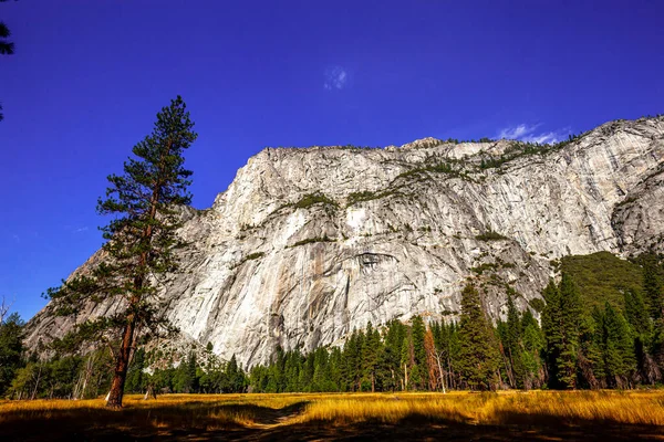 Valle Yosemite Parque Nacional Yosemite California — Foto de Stock