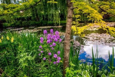 GIVERNY, FRANCE, 21 Mayıs 2015: Empresyonist bahçeler ve Claude Monet göletleri Giverny, Normandiya, Fransa