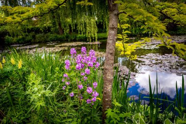 GIVERNY, FRANCE, 21 Mayıs 2015: Empresyonist bahçeler ve Claude Monet göletleri Giverny, Normandiya, Fransa