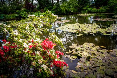 GIVERNY, FRANCE, 21 Mayıs 2015: Empresyonist bahçeler ve Claude Monet göletleri Giverny, Normandiya, Fransa