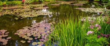 GIVERNY, FRANCE, 21 Mayıs 2015: Empresyonist bahçeler ve Claude Monet göletleri Giverny, Normandiya, Fransa