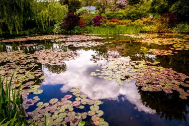 GIVERNY, FRANCE, 21 Mayıs 2015: Empresyonist bahçeler ve Claude Monet göletleri Giverny, Normandiya, Fransa