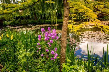 GIVERNY, FRANCE, 21 Mayıs 2015: Empresyonist bahçeler ve Claude Monet göletleri Giverny, Normandiya, Fransa