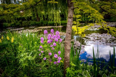 GIVERNY, FRANCE, 21 Mayıs 2015: Empresyonist bahçeler ve Claude Monet göletleri Giverny, Normandiya, Fransa