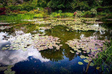 GIVERNY, FRANCE, 21 Mayıs 2015: Empresyonist bahçeler ve Claude Monet göletleri Giverny, Normandiya, Fransa