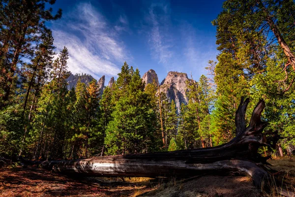 Vallée Yosemite Parc National Yosemite Californie États Unis — Photo