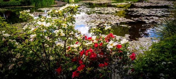 Giverny フランス 2015年5月21日 フランス ノルマンディーのクロード モネの印象派の庭園と池 — ストック写真
