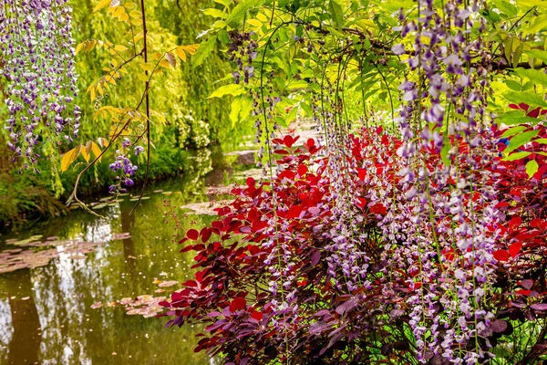 Giverny Francia Maggio 2015 Giardini Stagni Impressionisti Claude Monet Giverny — Foto Stock