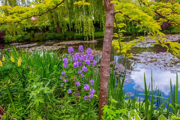 Giverny Francia Mayo 2015 Jardines Estanques Impresionistas Claude Monet Giverny — Foto de Stock