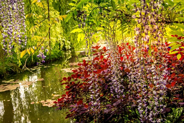 Giverny Francia Maggio 2015 Giardini Stagni Impressionisti Claude Monet Giverny — Foto Stock