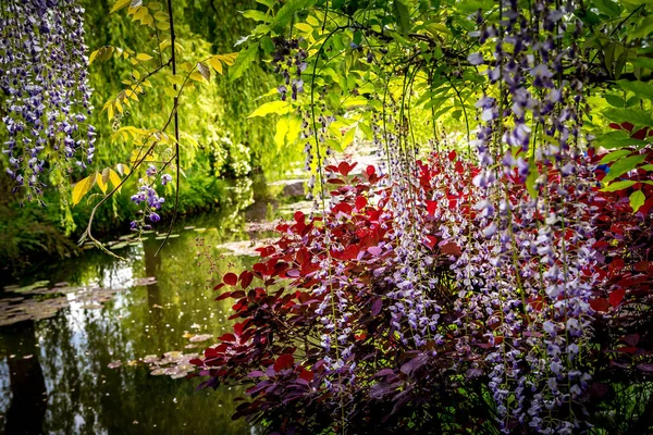 Giverny Francia Maggio 2015 Giardini Stagni Impressionisti Claude Monet Giverny — Foto Stock