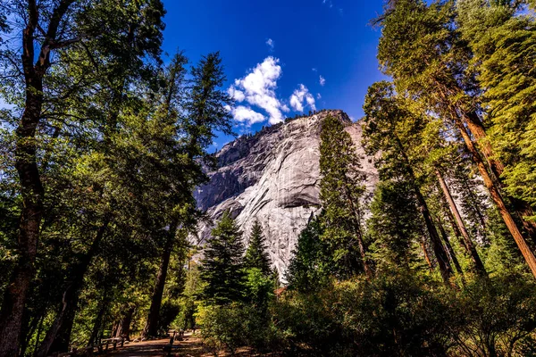 Vallée Yosemite Parc National Yosemite Californie États Unis — Photo