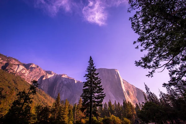 Vallée Yosemite Parc National Yosemite Californie États Unis — Photo