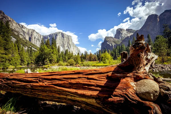 Yosemite Tal Yosemite Nationalpark Kalifornien Usa — Stockfoto