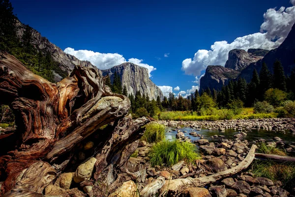 Yosemite Dal Yosemite Nationalpark Californien Usa - Stock-foto