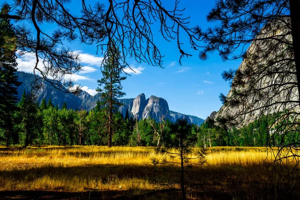 Vallée Yosemite Parc National Yosemite Californie États Unis — Photo