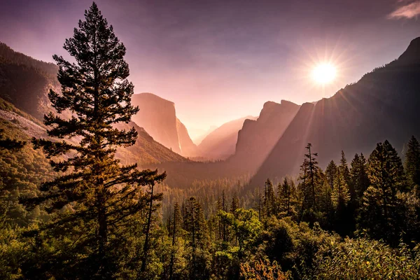 Vale Yosemite Parque Nacional Yosemite Califórnia Eua — Fotografia de Stock