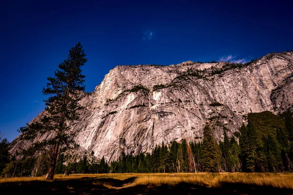 Vallée Yosemite Parc National Yosemite Californie États Unis — Photo