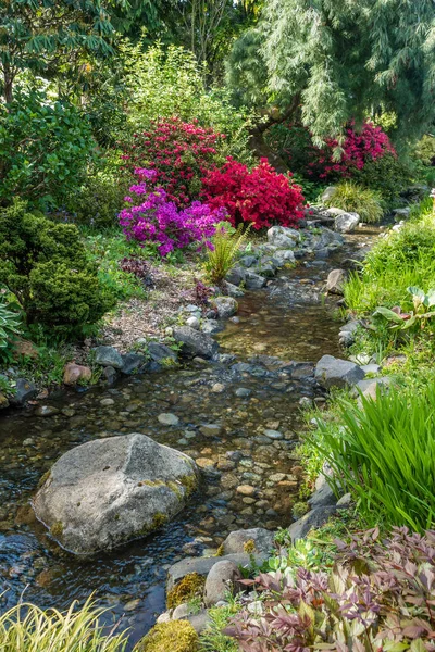 Arroyo Fluye Través Jardín Seatac Washington — Foto de Stock