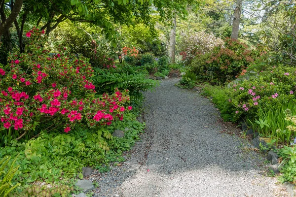 Cesta Obklopen Květinami Rostlinami Seatac Washington — Stock fotografie