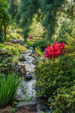 Bir bahçe Seatac, Washington üzerinden bir dere akar.