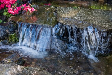 Küçük bir şelale ve kırmızı çiçekler Seatac, Washington'da bir closeup çekim.