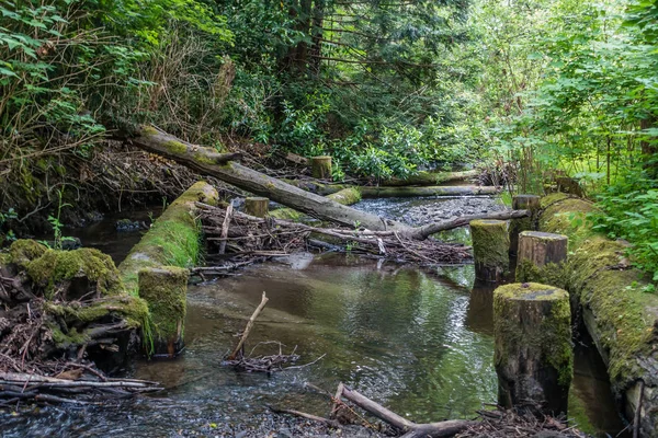 Una Vista Des Moines Creek Des Moines Washington — Foto de Stock